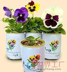 批發(fā)易拉罐花卉價格、廠家及機(jī)械設(shè)備全解析——世界工廠網(wǎng)產(chǎn)品信息庫指南